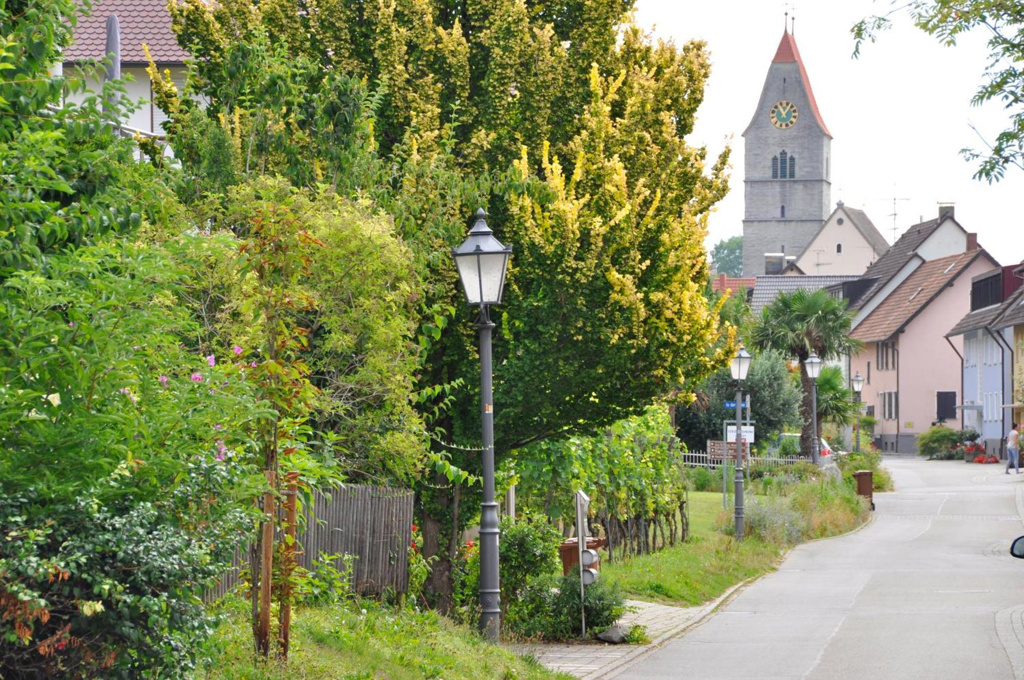 Auszeit Appartement Hagnau am Bodensee Buitenkant foto