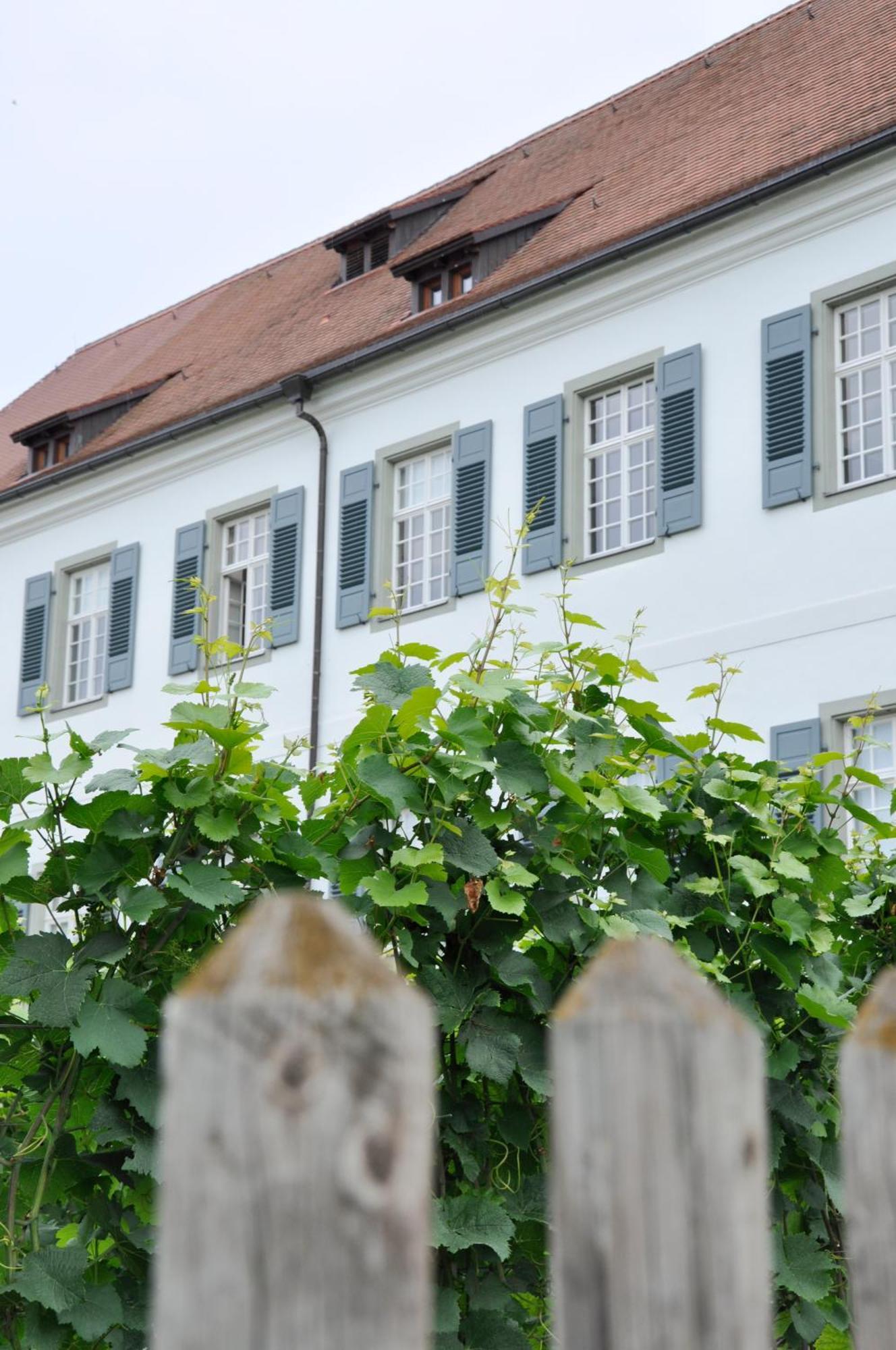 Auszeit Appartement Hagnau am Bodensee Buitenkant foto
